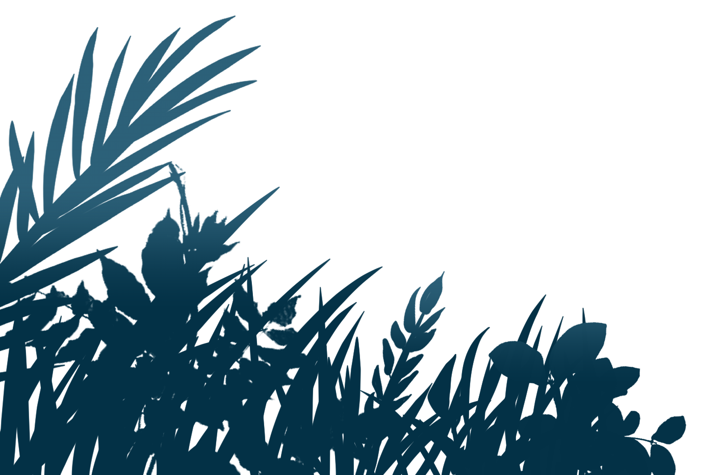 自己実現を目指し、北佐久郡立科町で人間関係や職場関係に悩む方のオンラインカウンセリングを行っています