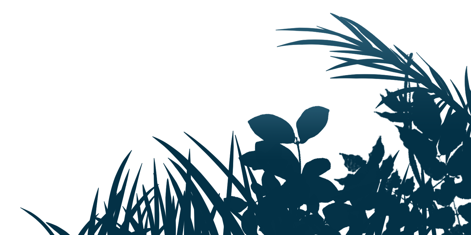 自己実現を目指し、北佐久郡立科町で人間関係や職場関係に悩む方のオンラインカウンセリングを行っています