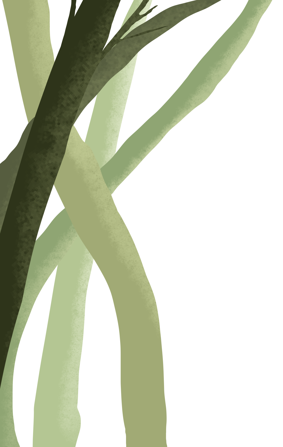 自己実現を目指し、北佐久郡立科町で人間関係や職場関係に悩む方のオンラインカウンセリングを行っています