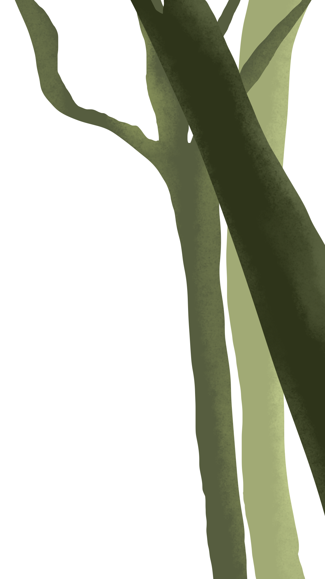 自己実現を目指し、北佐久郡立科町で人間関係や職場関係に悩む方のオンラインカウンセリングを行っています